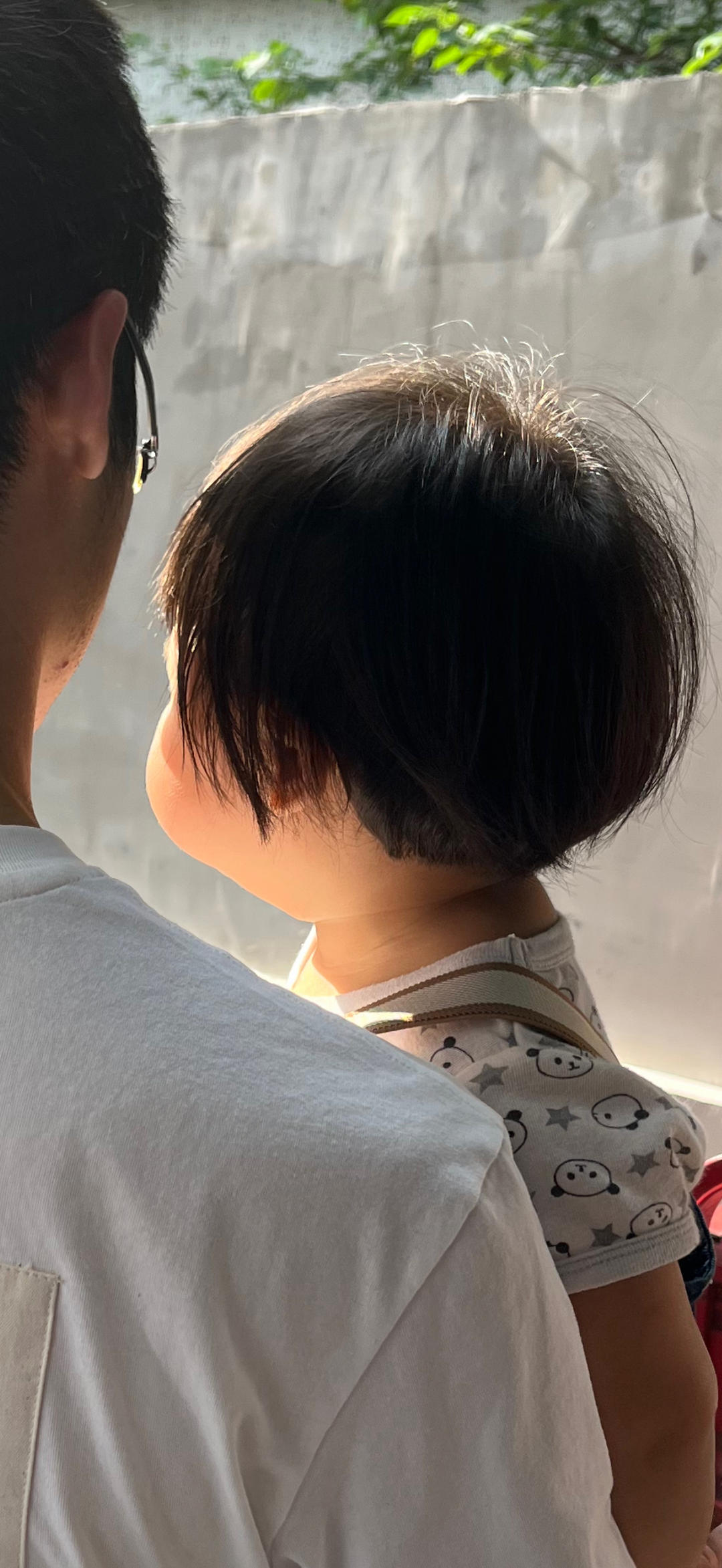 伊伊妹儿的猪窝