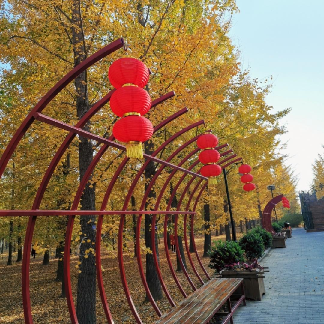 学做菜的小可爱嘿嘿