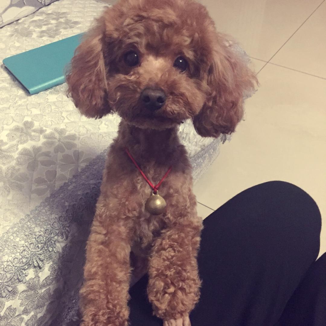 H小姐的烘焙厨房