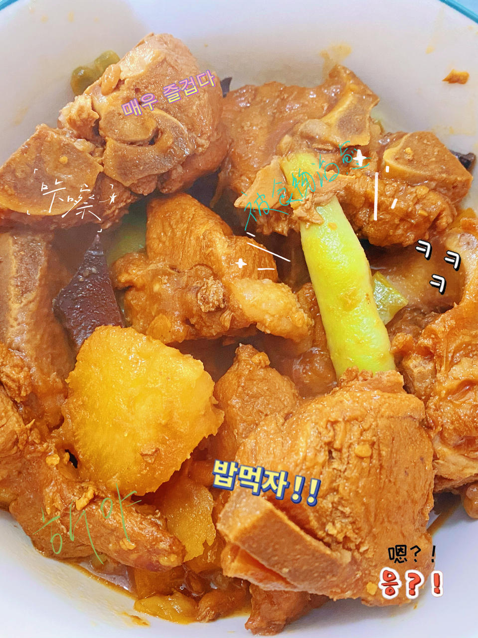 🦴东北酱大骨🦴（快手菜系列）