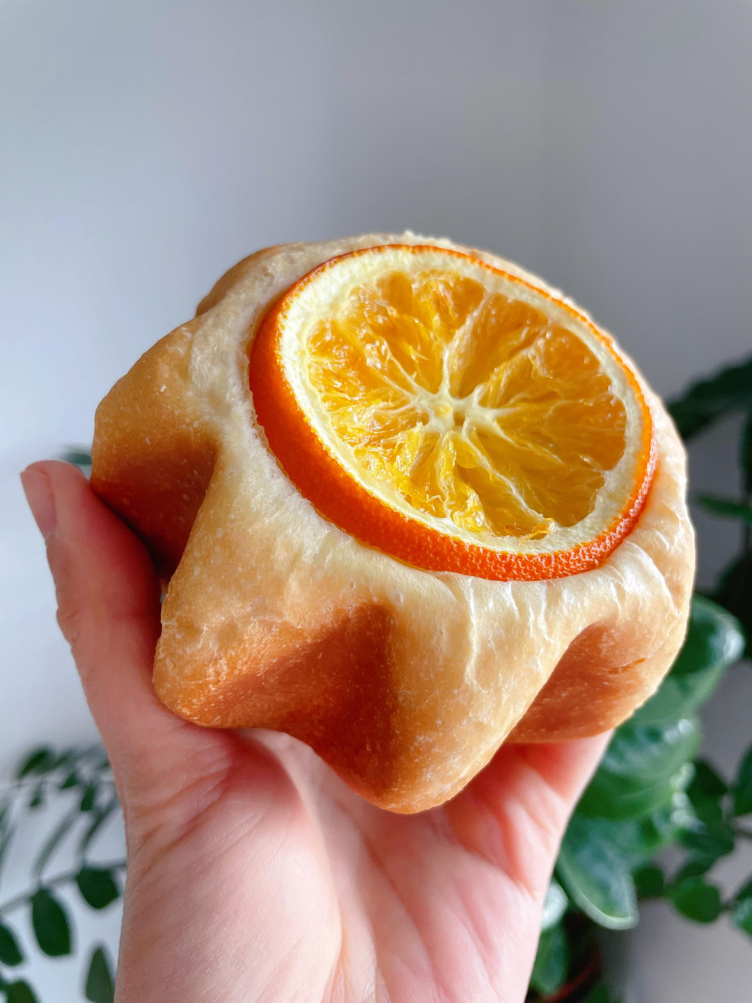 🍊香橙乳酪🌟星星面包｜高颜值｜清新柑橘