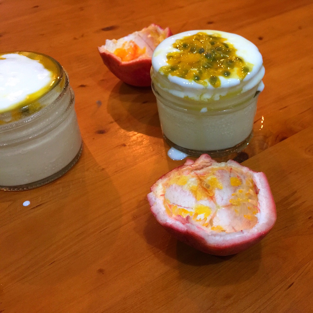 百香果酸奶意式奶冻<Passionfruit Yogurt Panna Cotta>