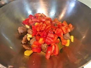 简易版西红柿炖牛腩的做法 步骤9