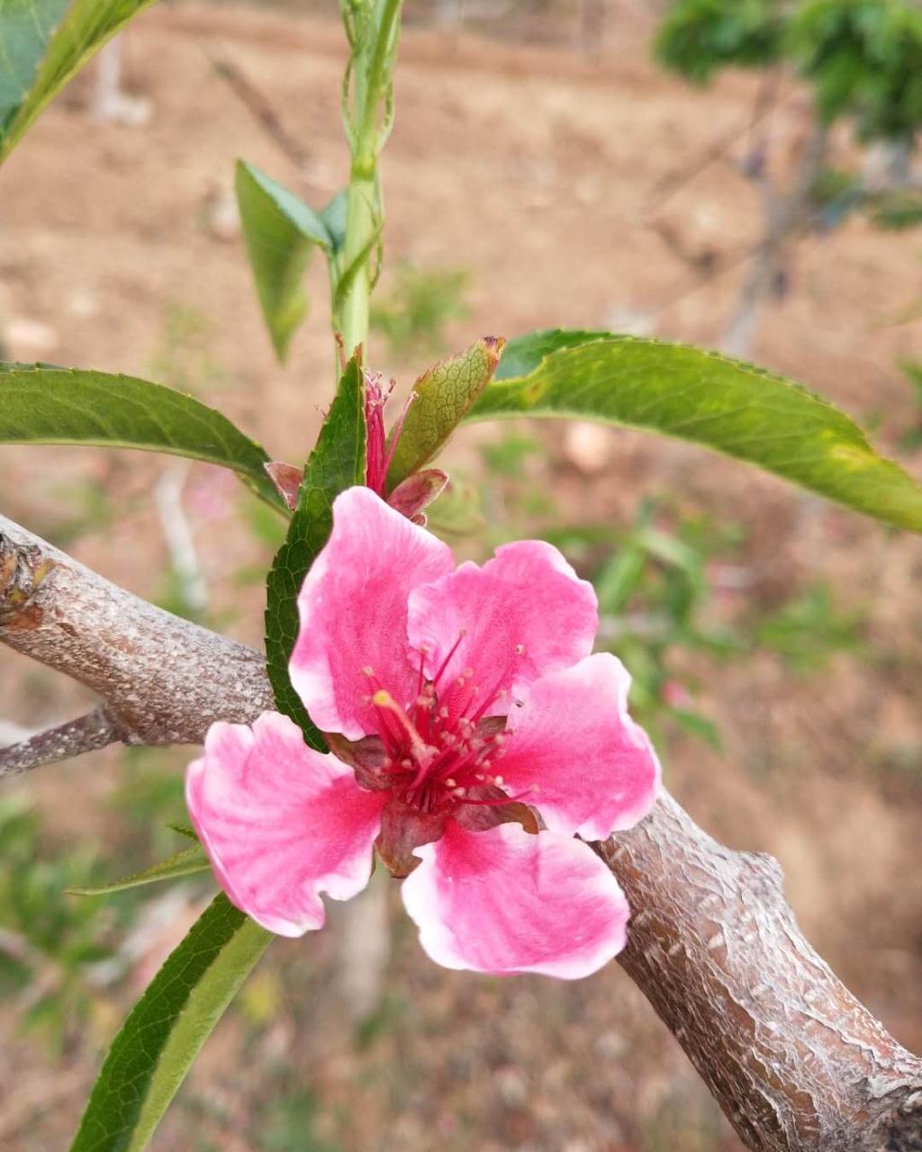 花花世界