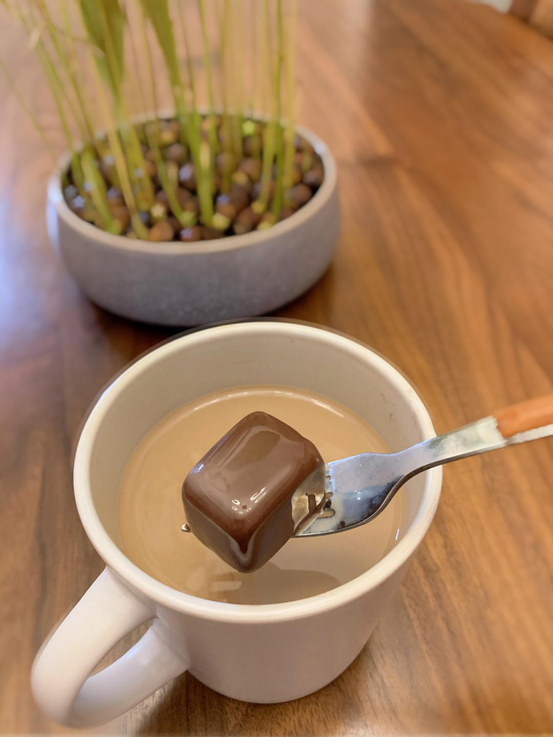 零难度‼️入口即化的可可奶冻