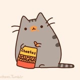 囧猫是吃货