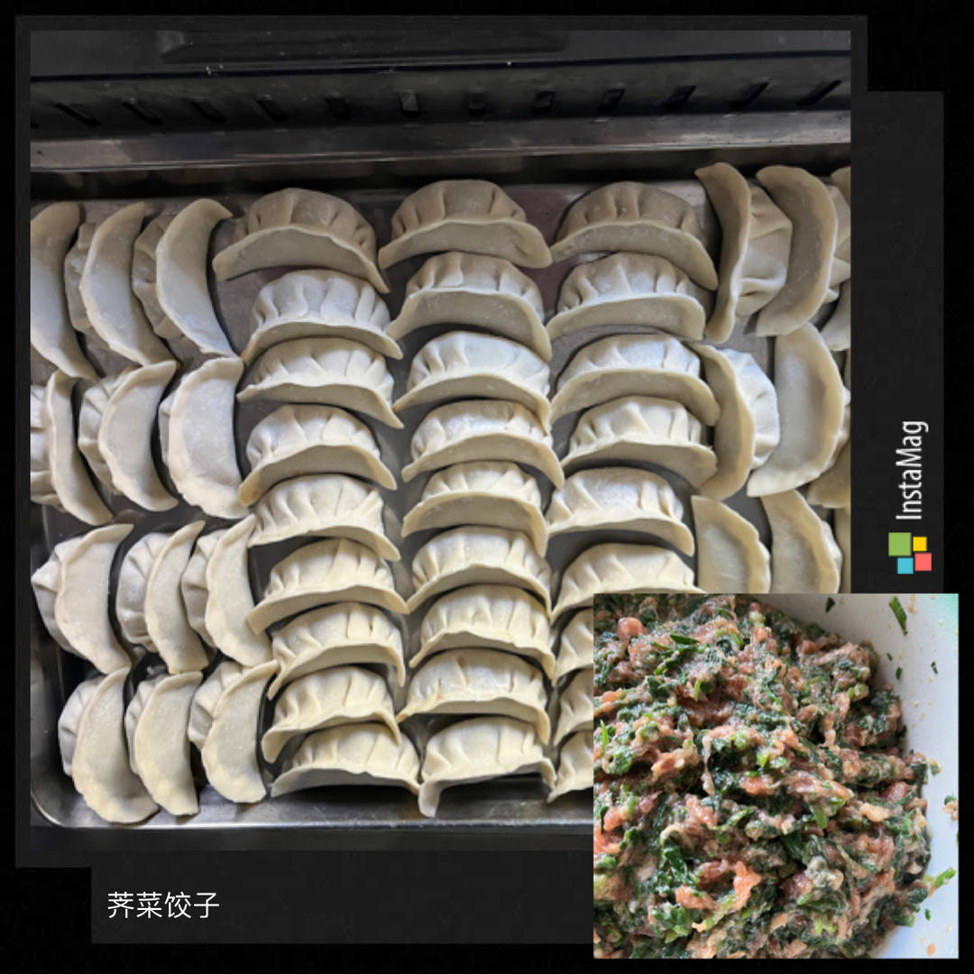 荠菜猪肉饺子馅