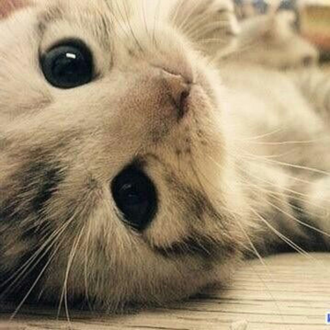 雨家的云