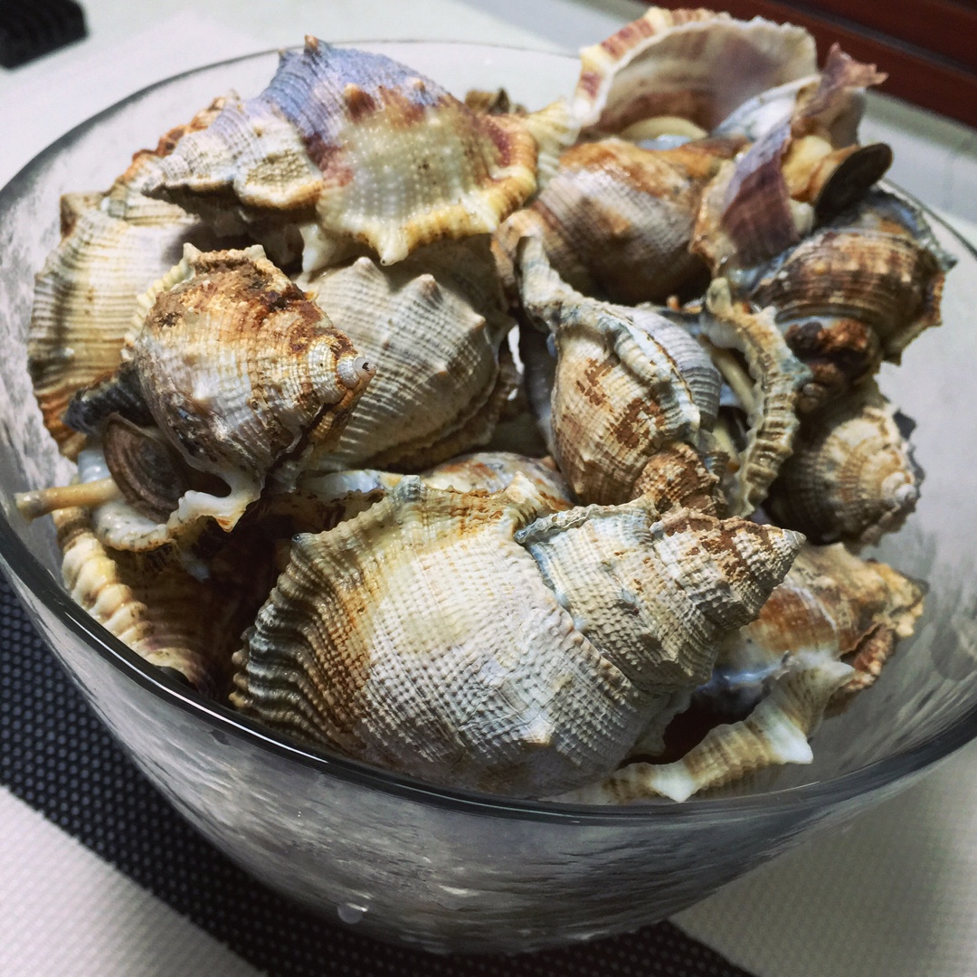 水煮海螺