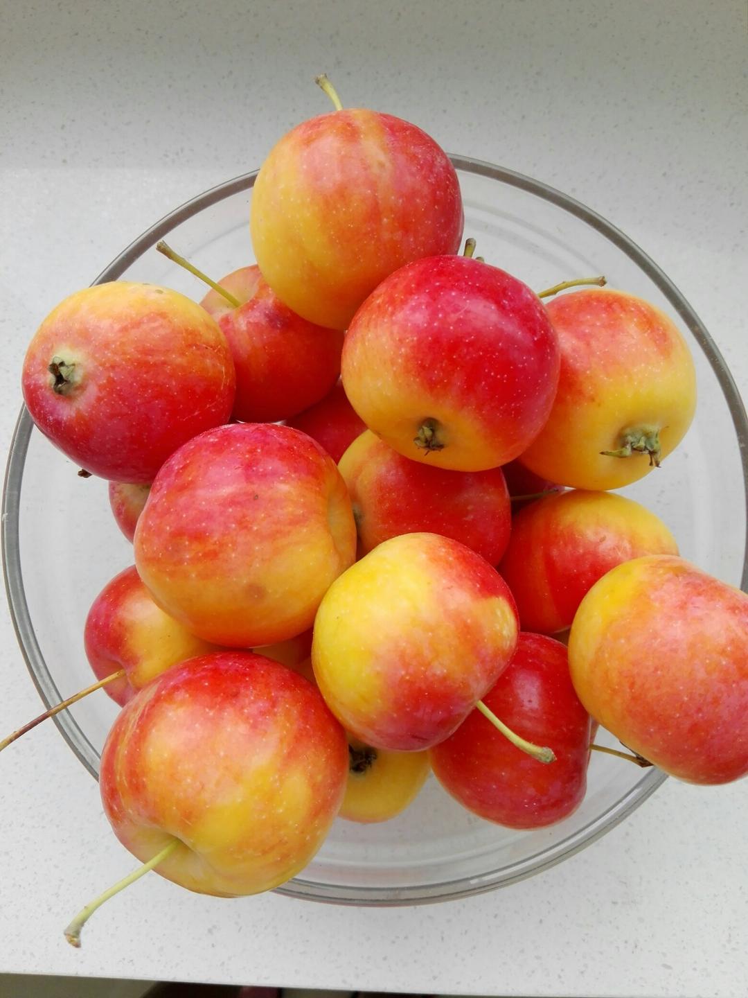 8r42光彩照人分享作品 2017年08月17日黑龙江特产黄太平android