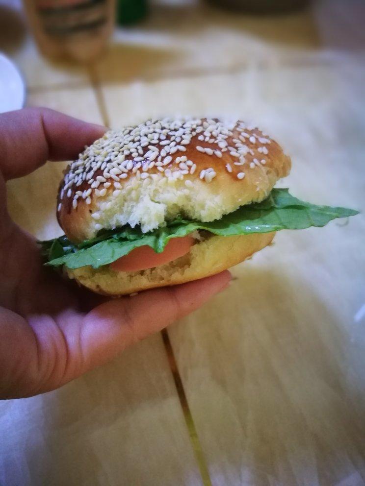 汉堡包面包胚