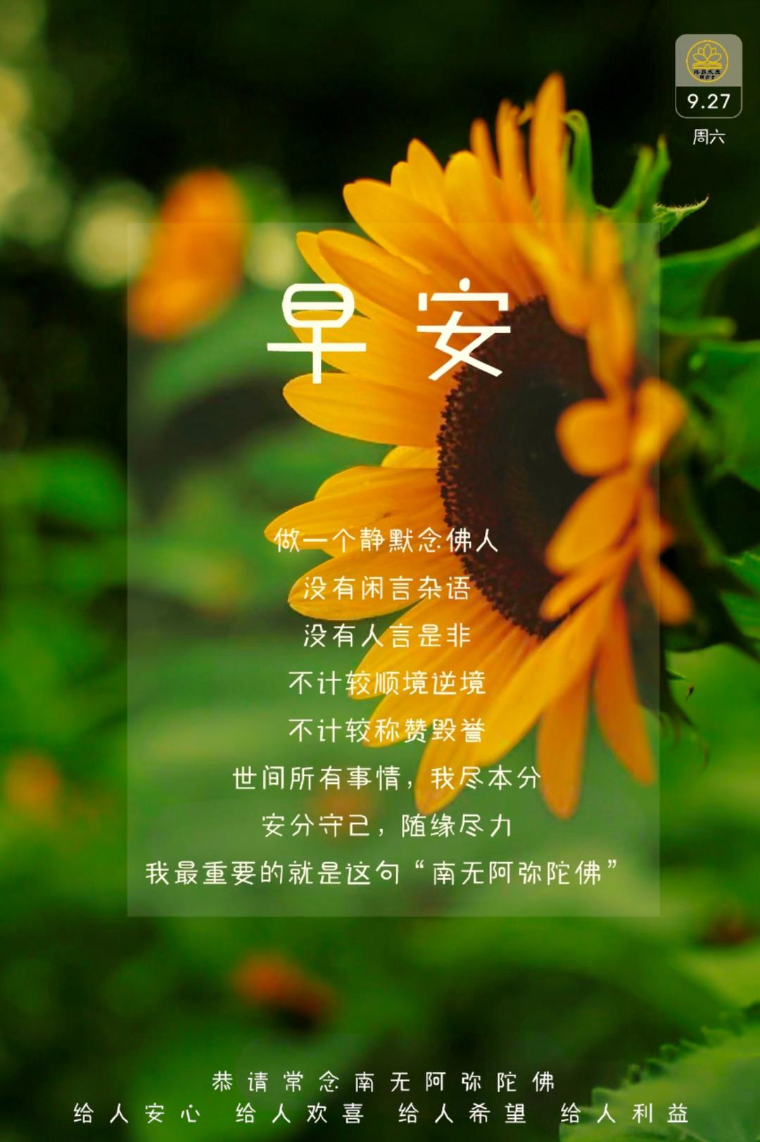 净意18