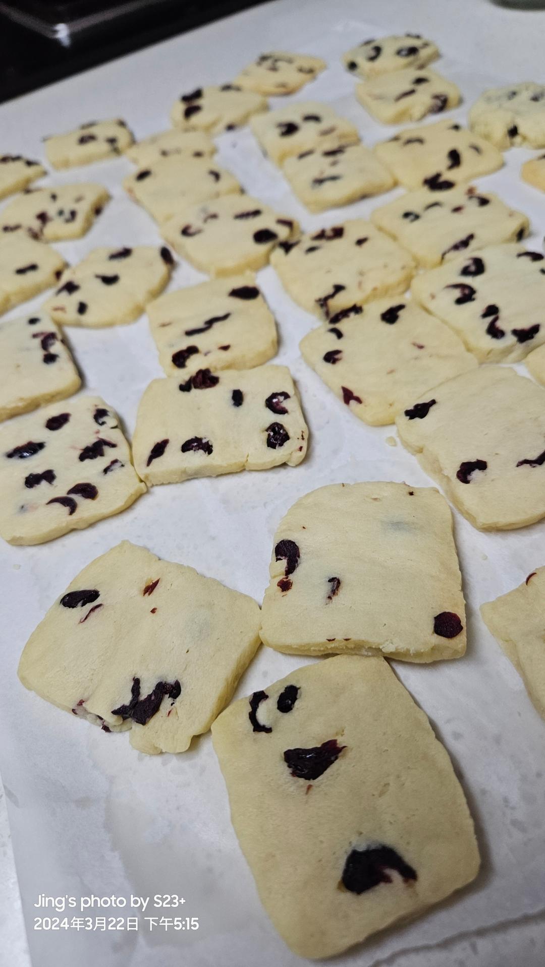 蔓越莓饼干--新手烘焙0压力 #皮黑森林#