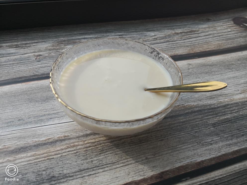 纯素椰子酸奶