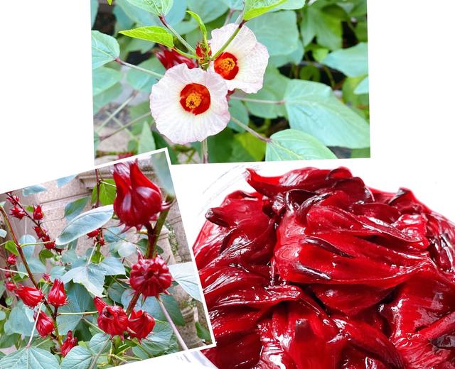 观赏食用于一体的玫瑰茄(洛神花)的做法