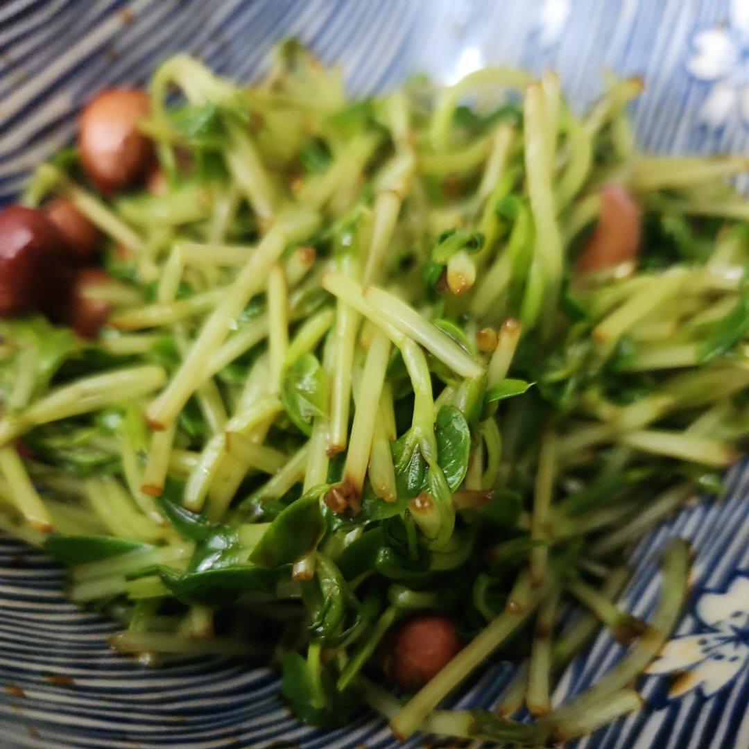 凉拌豆苗