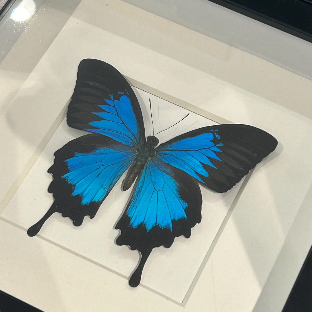 下厨房用户_bif9b