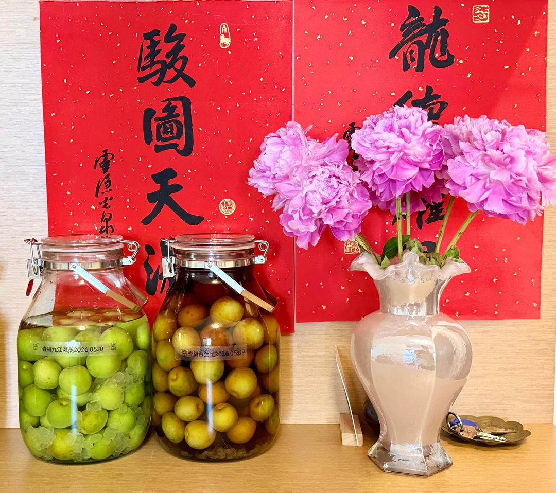 【青梅酒】梅子的沉醉时光（已填坑）