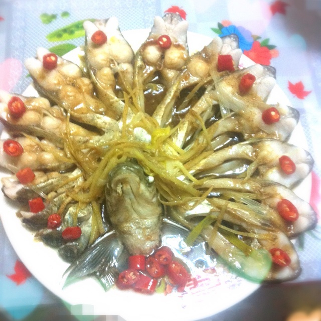 孔雀开屏鱼