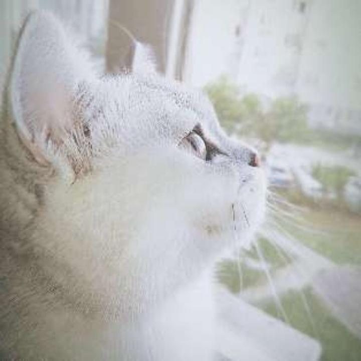 IsabellaIsBella