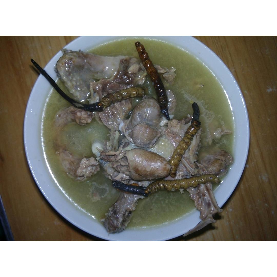 乳鸽冬虫草炖汤
