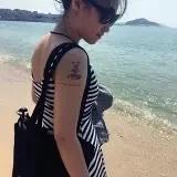 大猫Damao