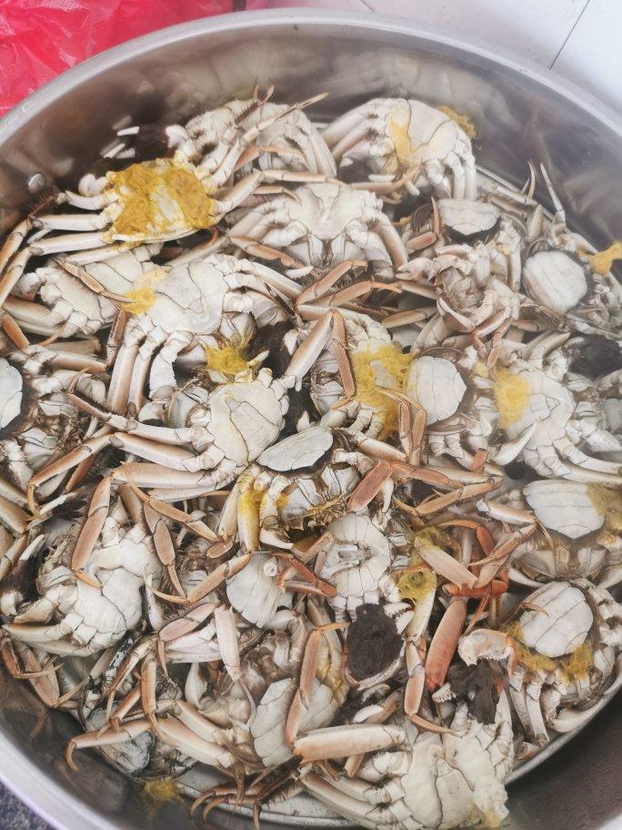 清蒸大闸蟹
