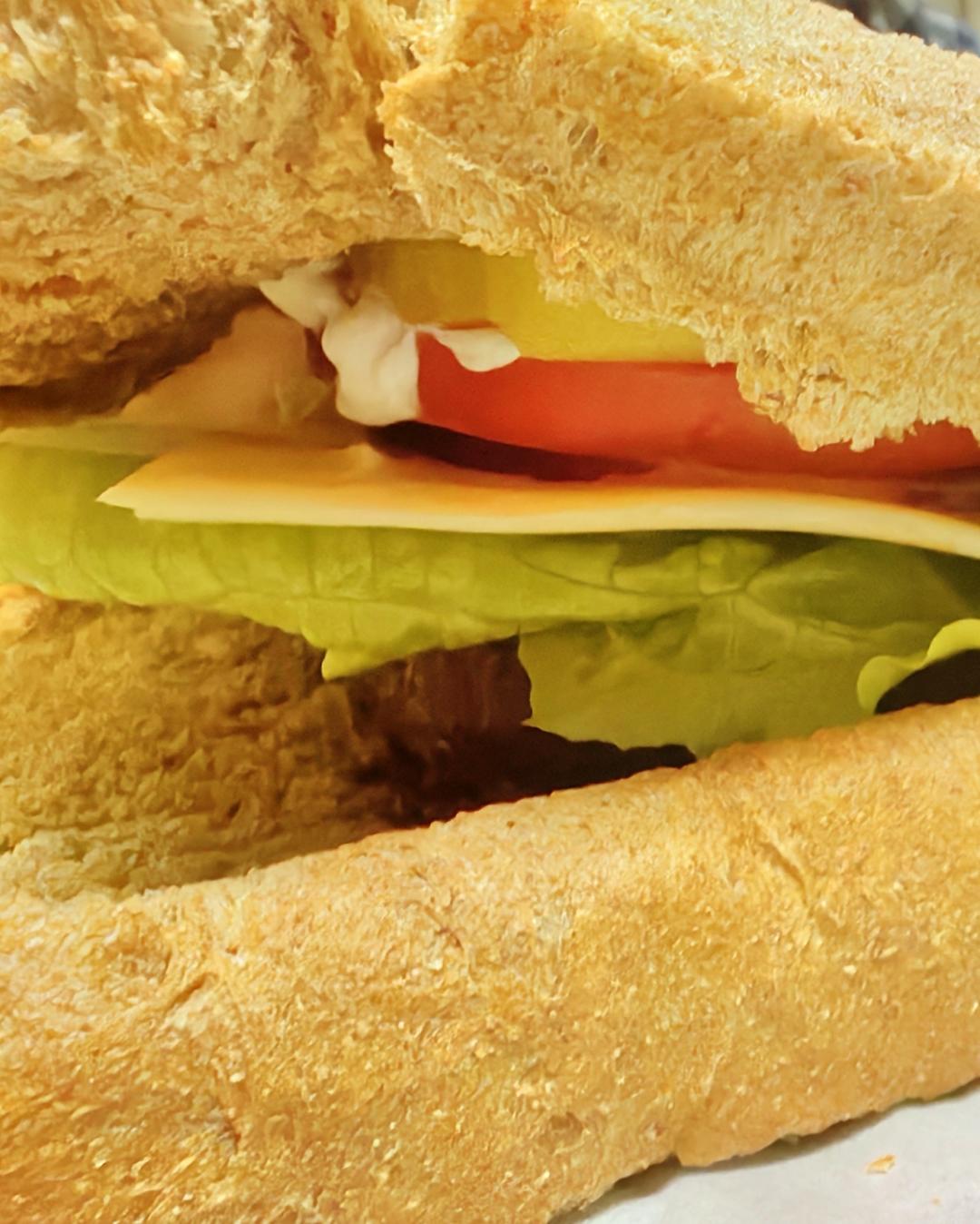 松下面包机p1000无油无糖100%全麦吐司