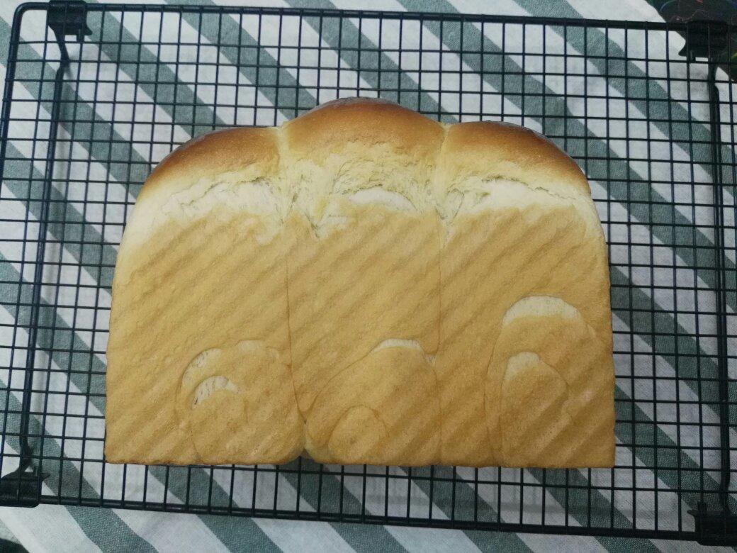 适合冬天制作的 100%中种嫩白牛奶吐司