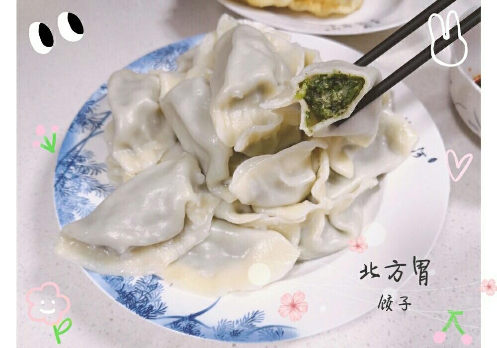 好吃到爆表的茴香猪肉水饺的做法