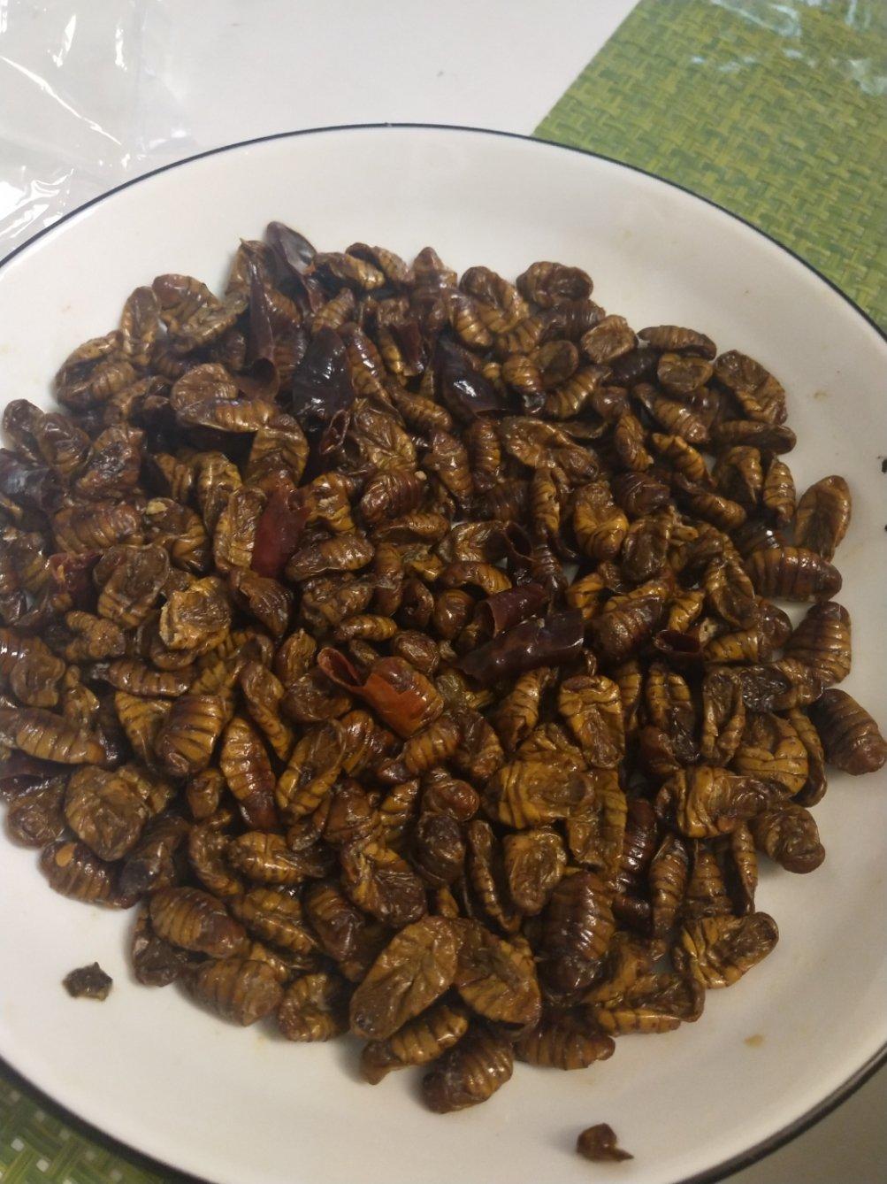 炒金丝蛹
