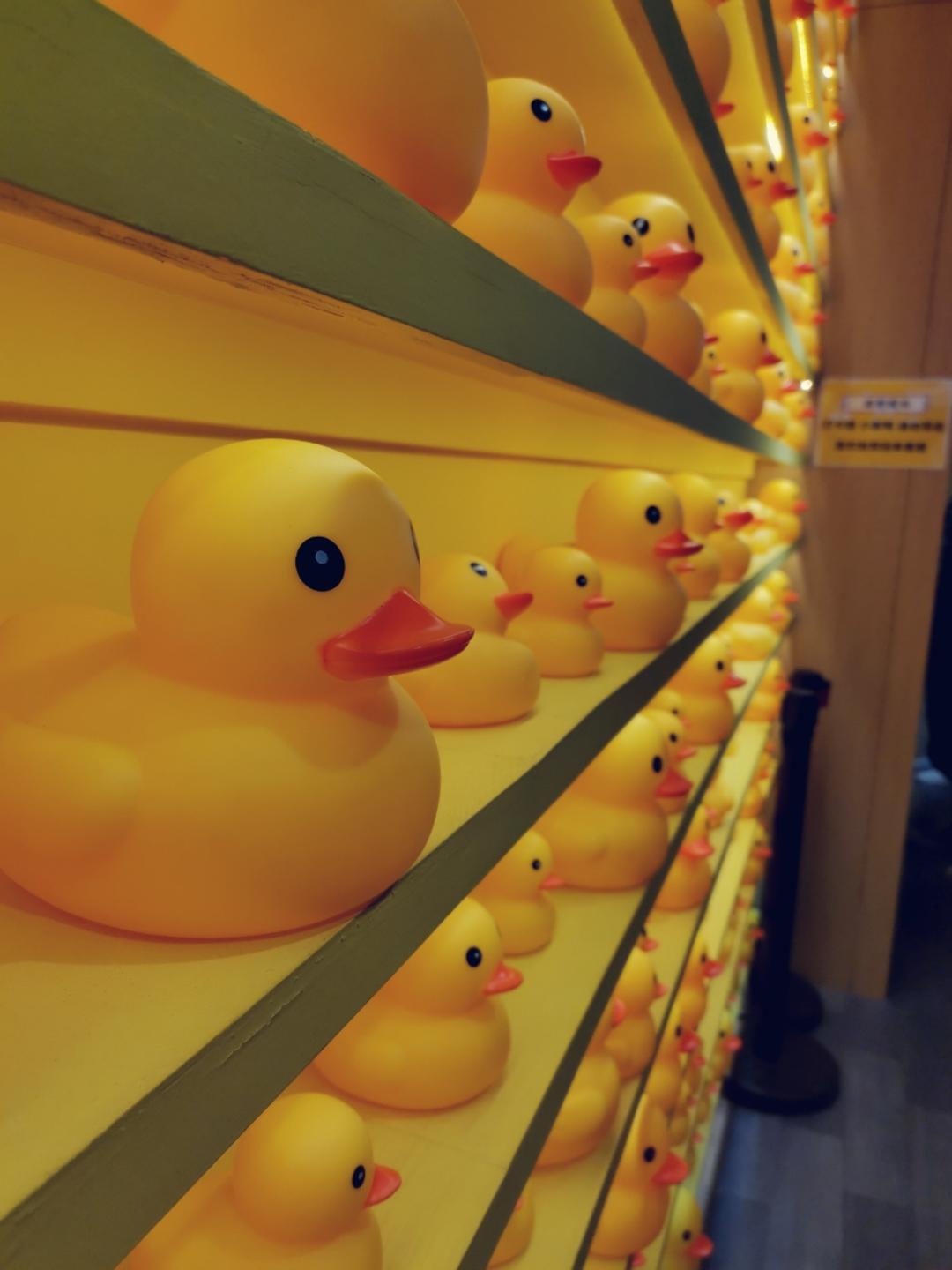 下厨房用户_柠檬猪猪啊