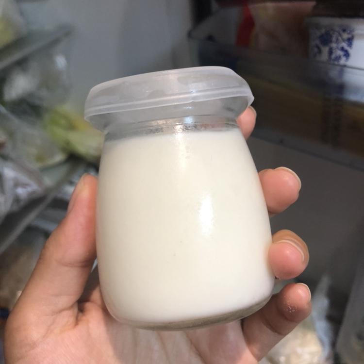 芒果布丁