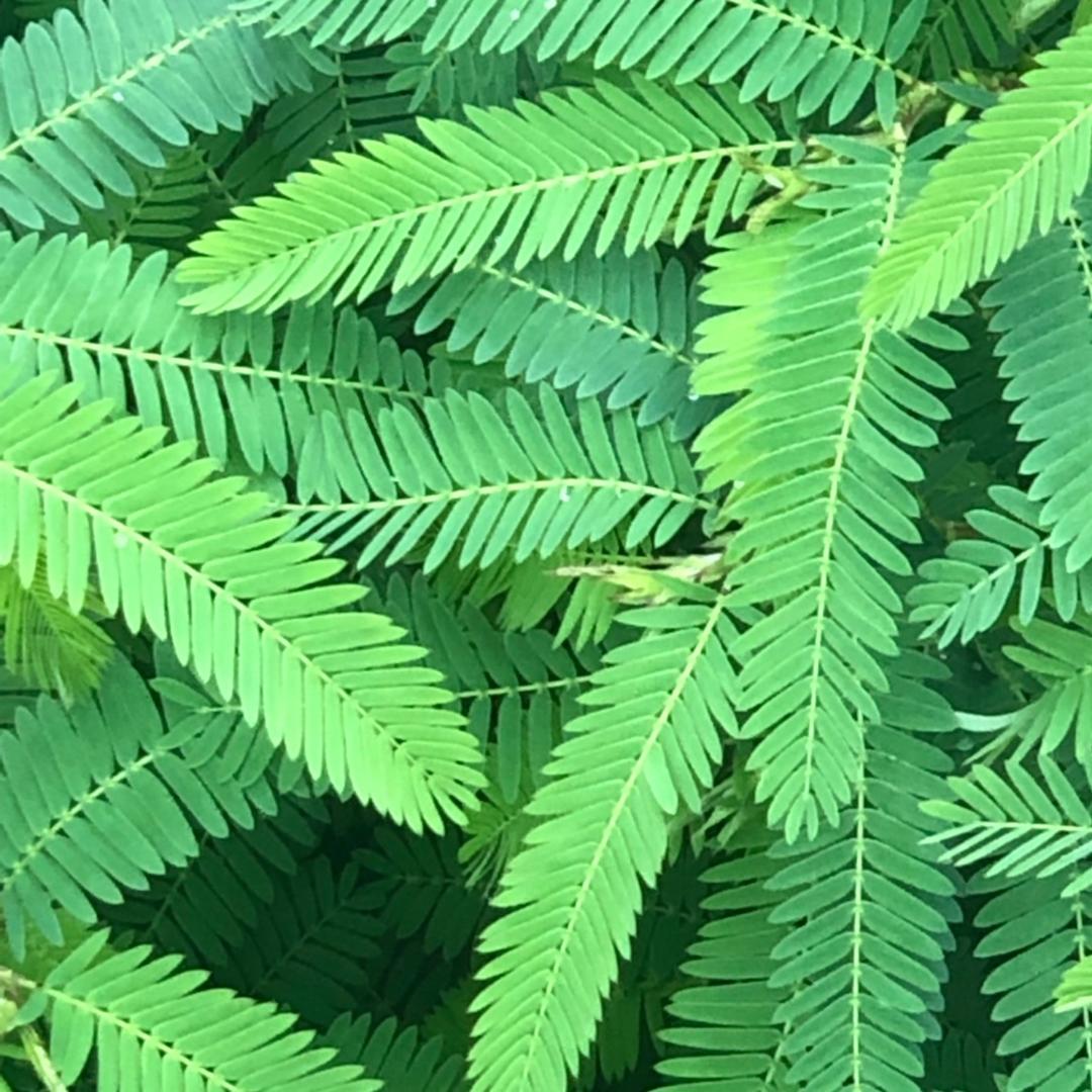 食光印象