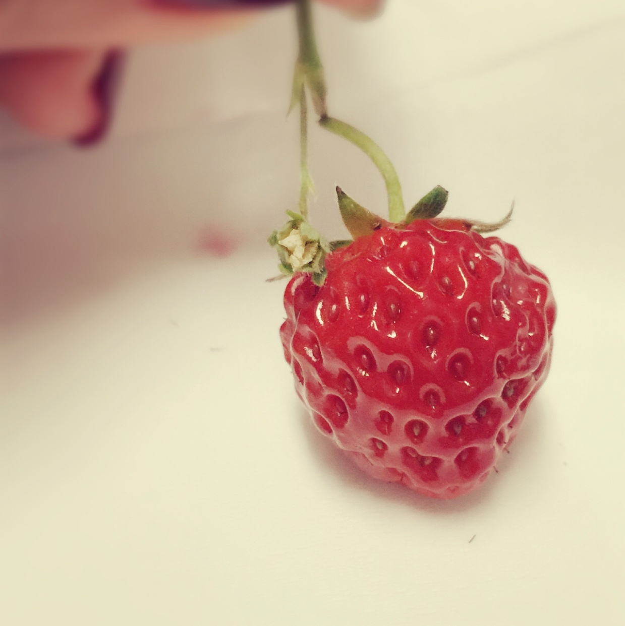 励志做个小厨娘