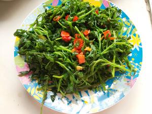 春日食野菜——爽口扫帚苗的做法 步骤10