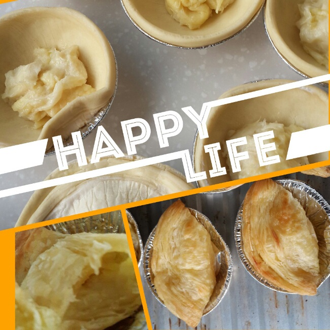 榴莲酥——海氏烤箱定制