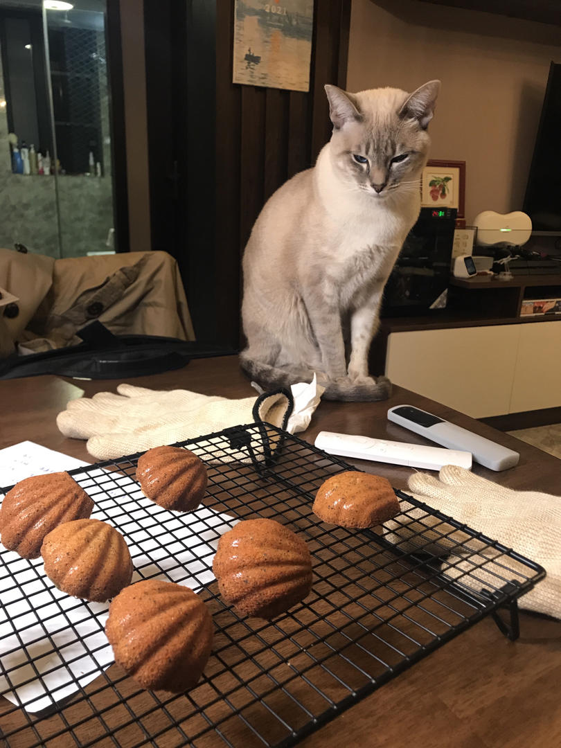 伯爵红茶玛德琳