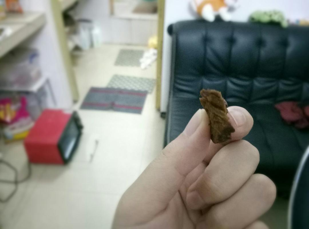 自制牛肉干