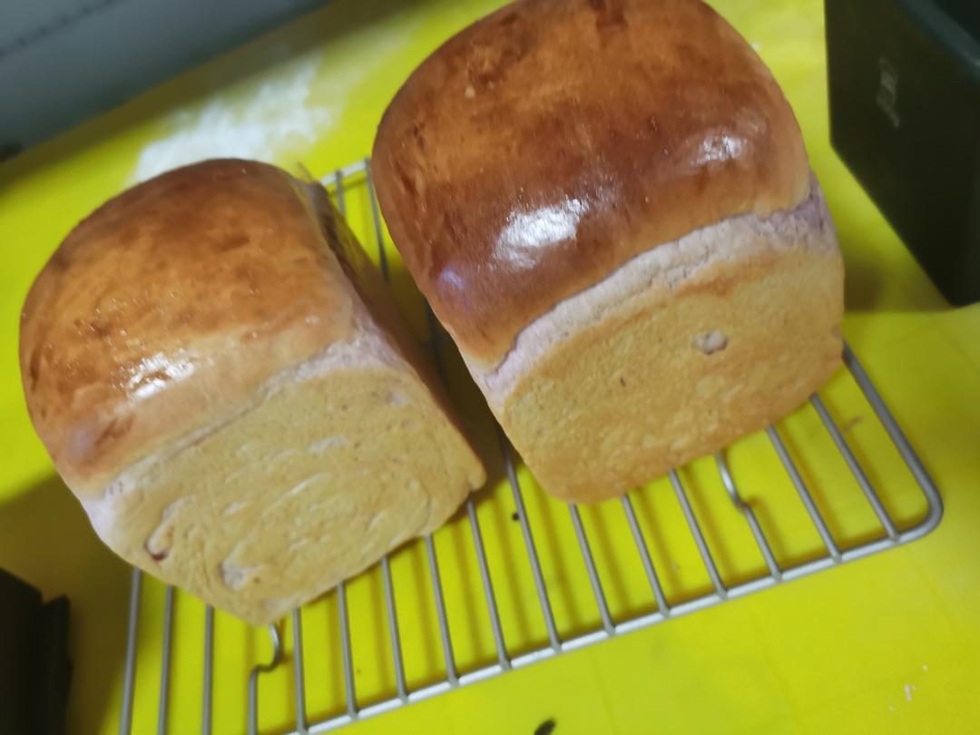酸奶吐司（100%中种法）可以吃到酸奶的吐司