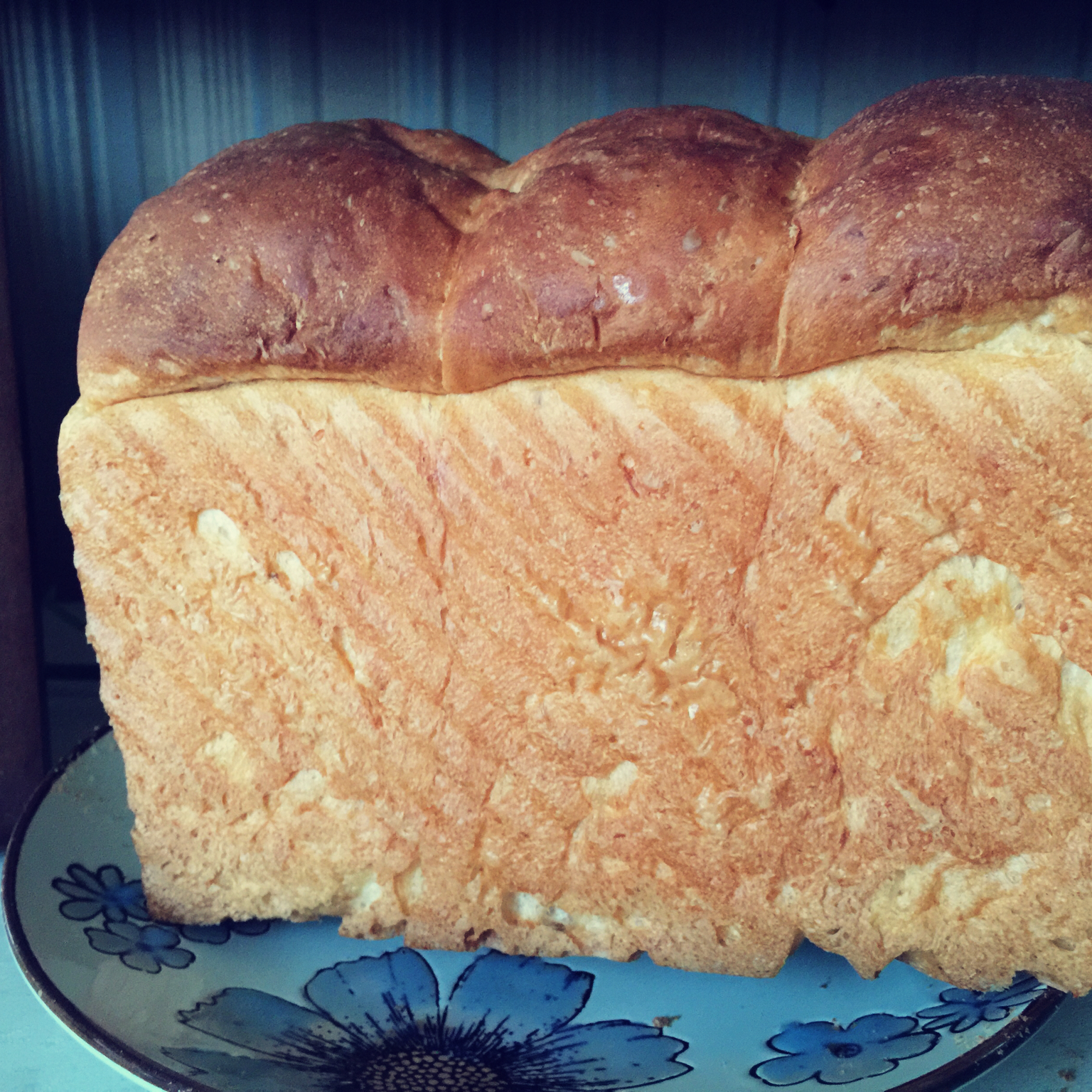 一次发酵全麦酸奶蛋黄吐司～老面版