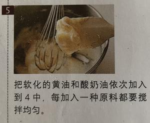 小嶋老师烘烤型乳酪蛋糕的做法 步骤7
