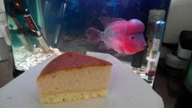 草莓味轻芝士蛋糕