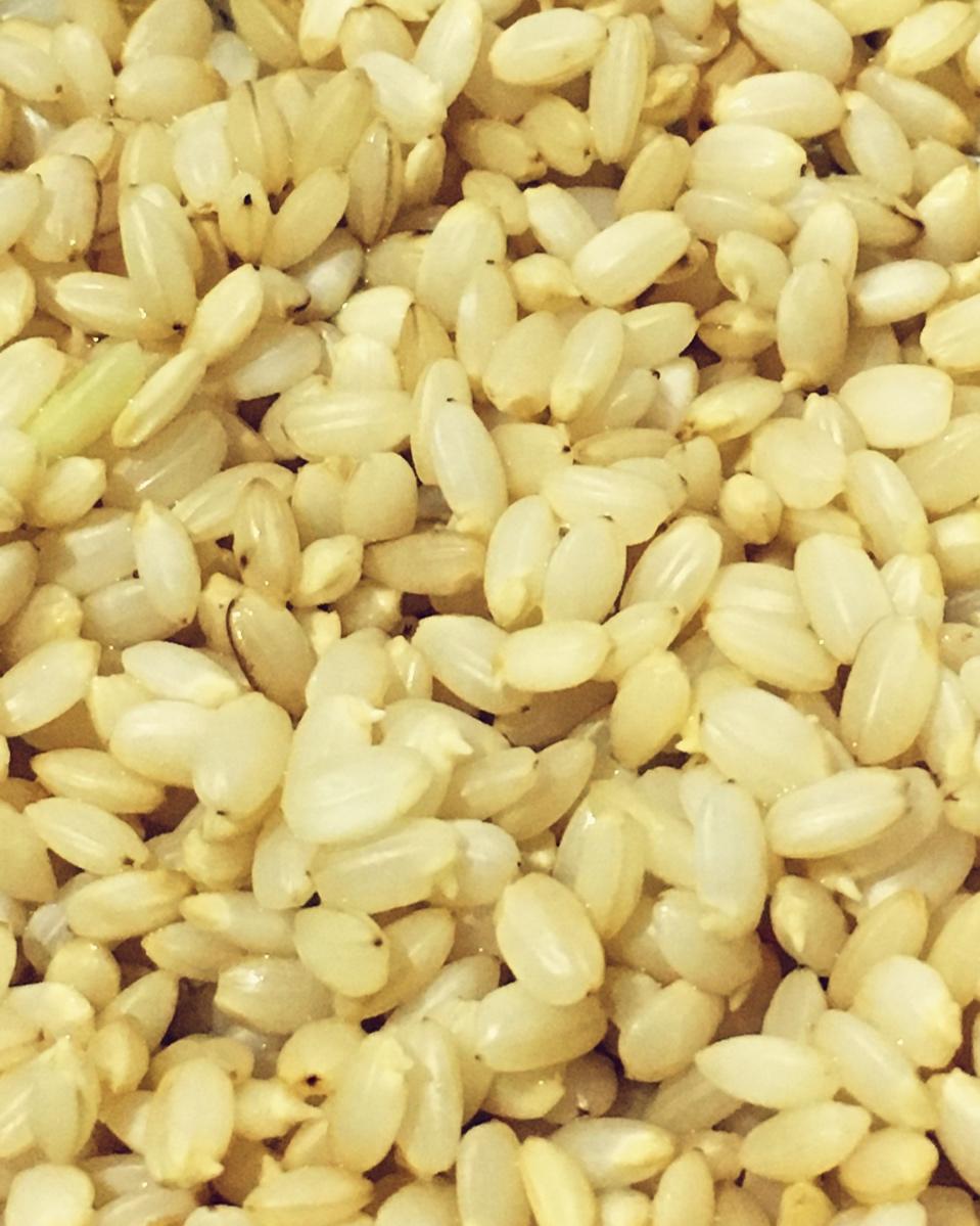 发芽糙米饭丨健康·三餐