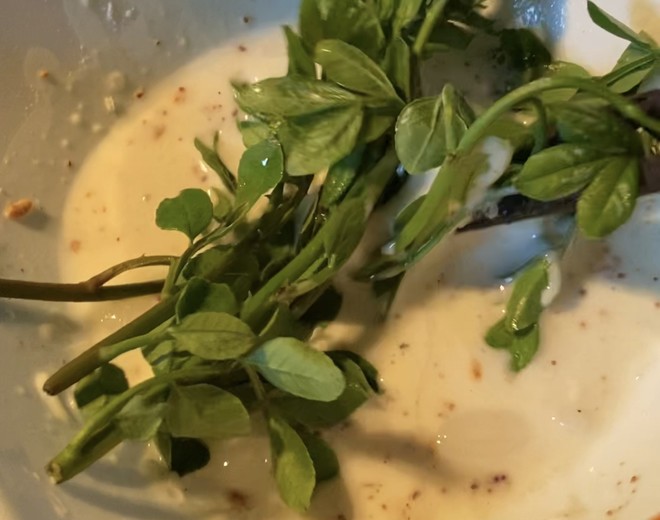 炸花椒芽 美食做法 第1张 炸花椒芽 美食做法 第1张