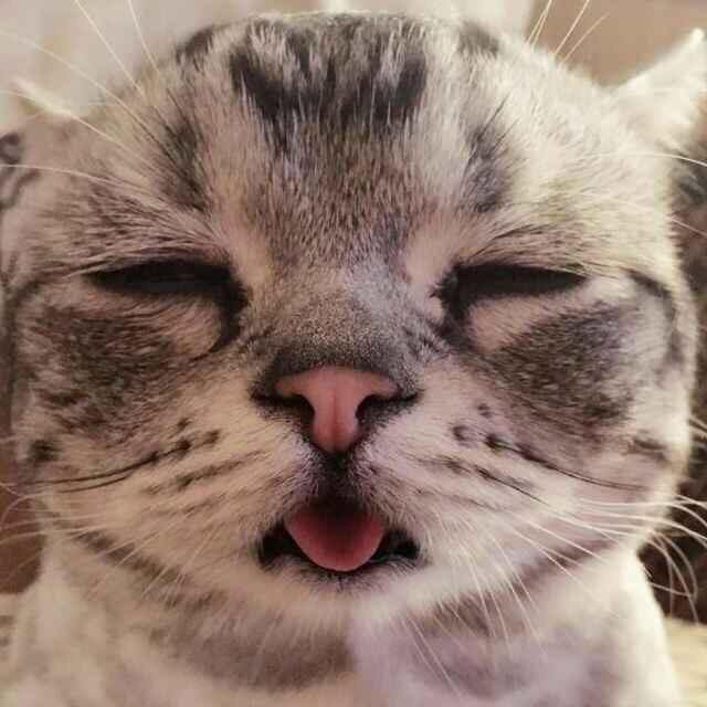 手机用户2696_72nt