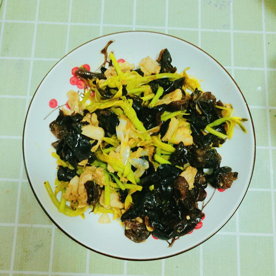 家常菜～木耳黄花菜炒肉