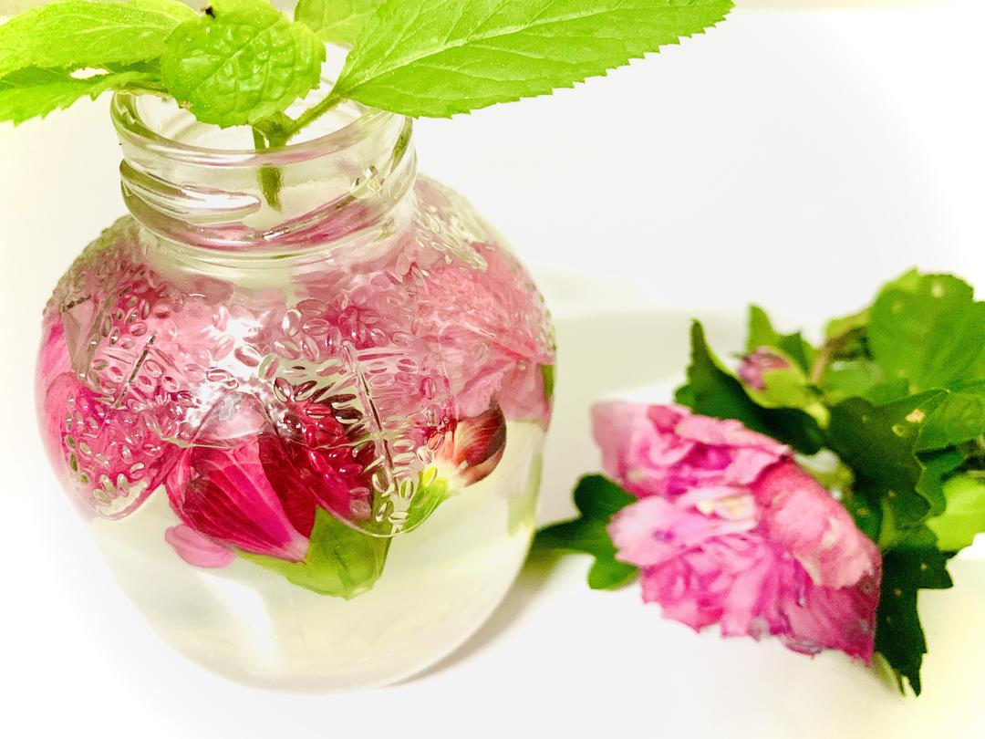 木槿花蜂蜜饮的做法步骤图 怎么做好吃 爱在厨房zzy 下厨房