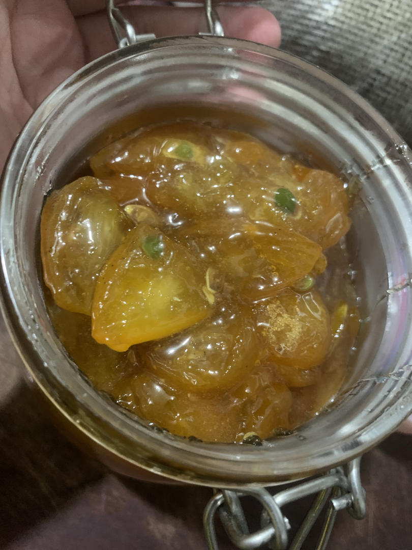 止咳化痰-金桔膏