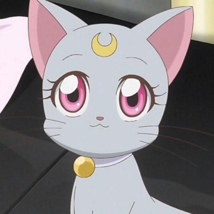 颖儿rrr